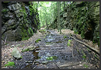 Rock Cut